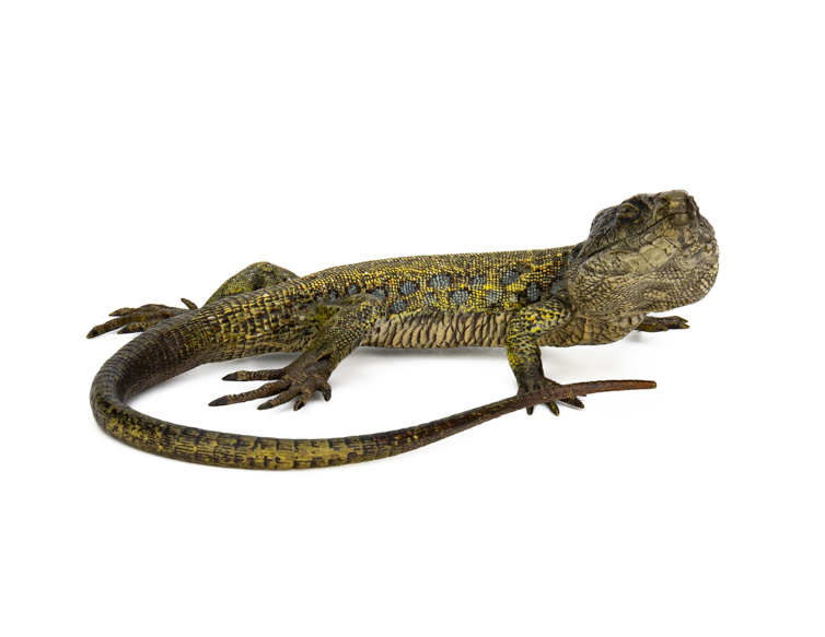 Franz Bergman Vienna Bronze mechanical lizard first